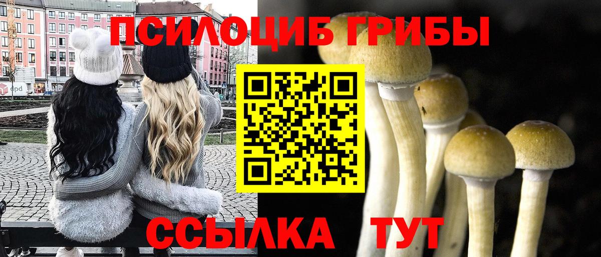 Усолье-Сибирское  как найти наркотики  Вход с VPN  Псилоцибиновые грибы GOLDEN TEACHER 
